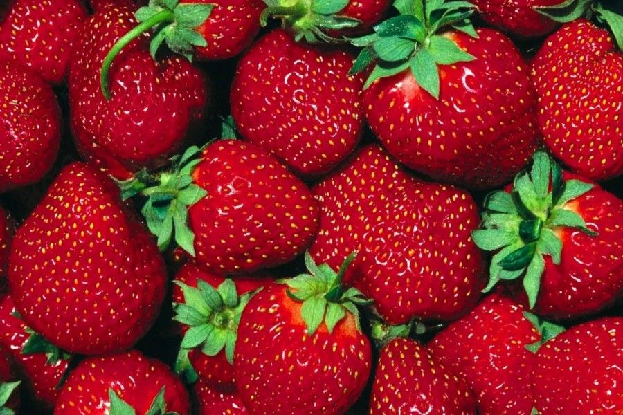 come-preparare-una-maschera-viso-alle-fragole_a795294dbd9fb4f17f6b40963c144630