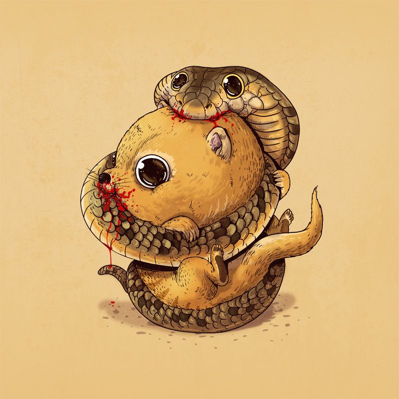 2015-06-03-1433366141-9173995-mongoose_cobra_800