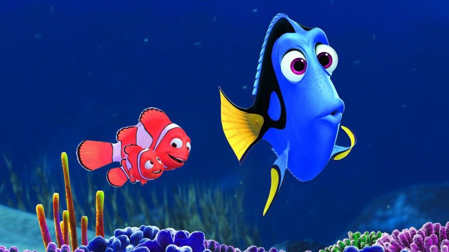 Alla ricerca di Nemo