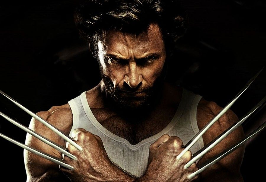 wolverine