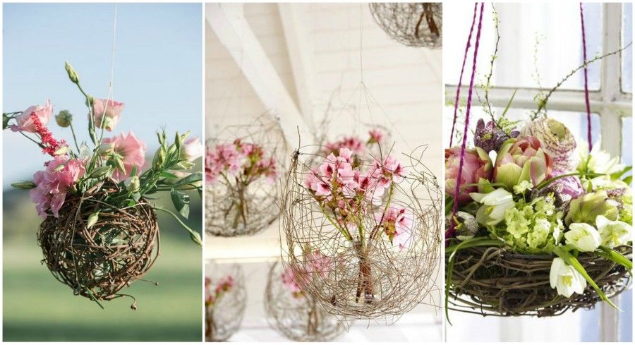 hanging nests