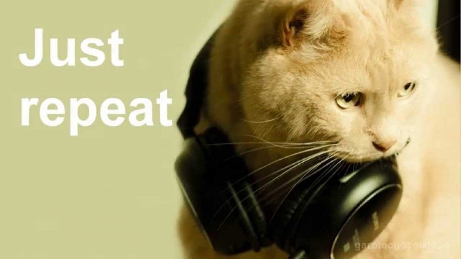 musica-per-cani-e-gatti
