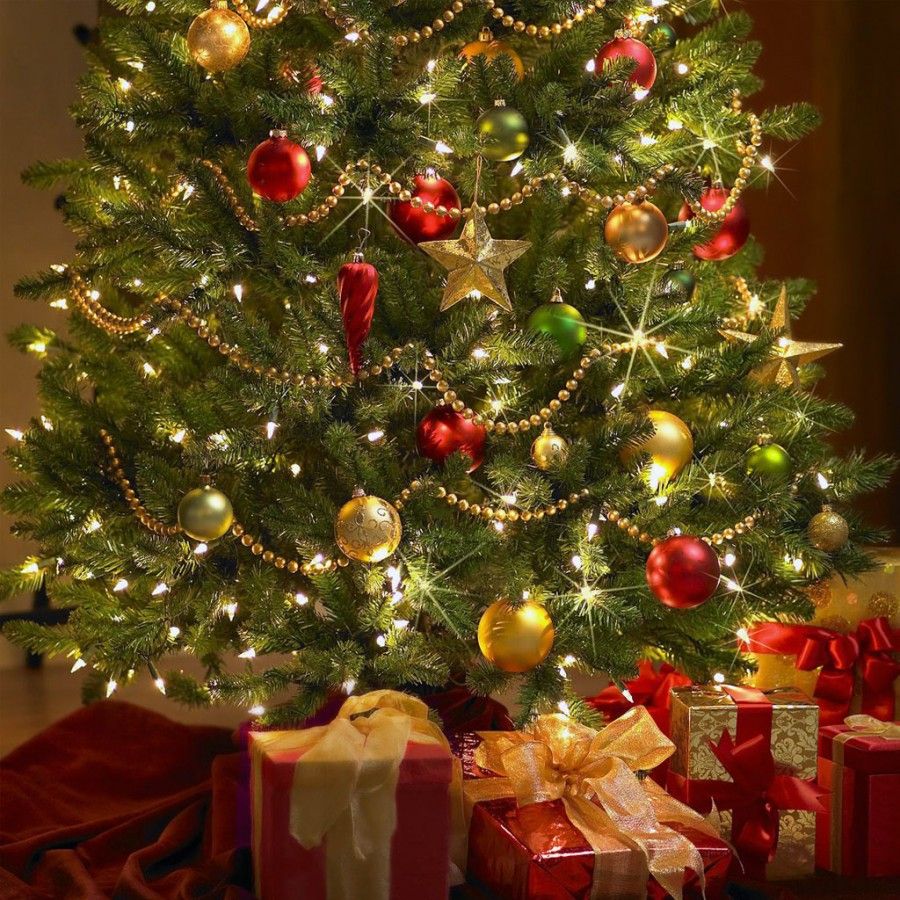 Albero di Natale vero o finto?