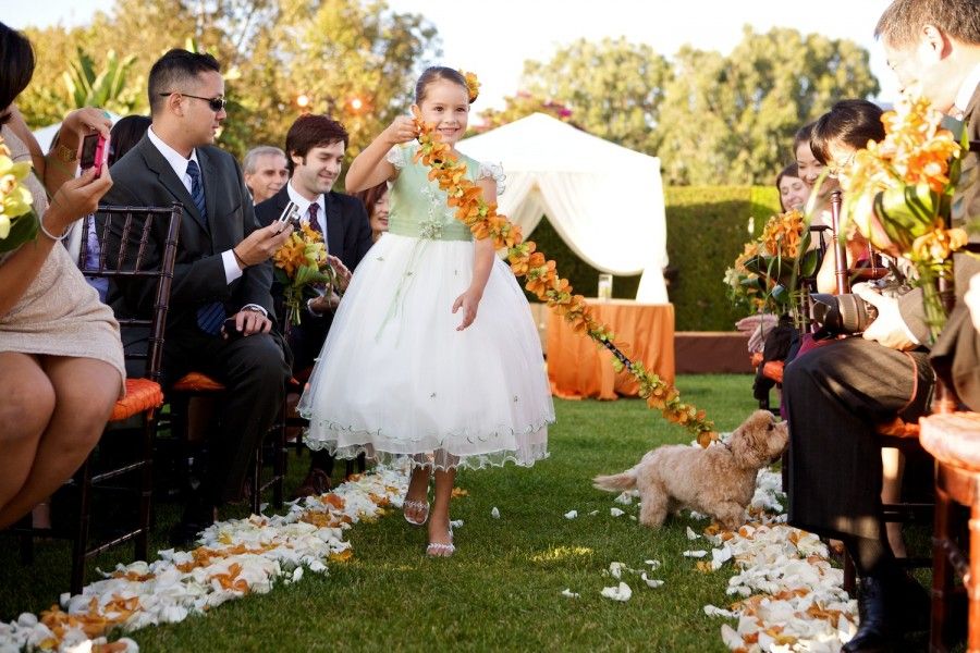 matrimonio-con-il tuo-cane