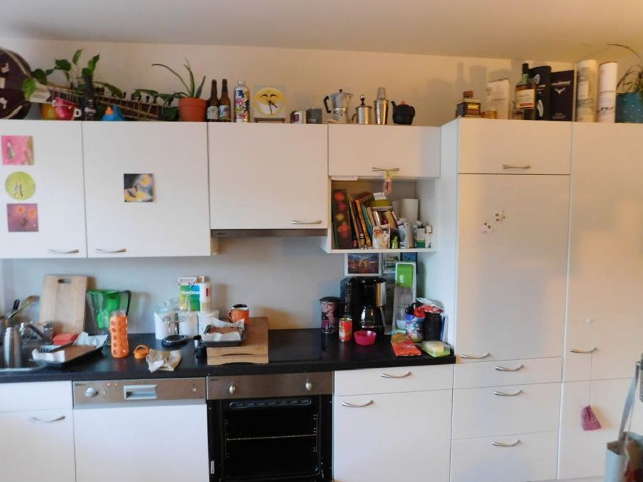gatto-nascosto-in-cucina