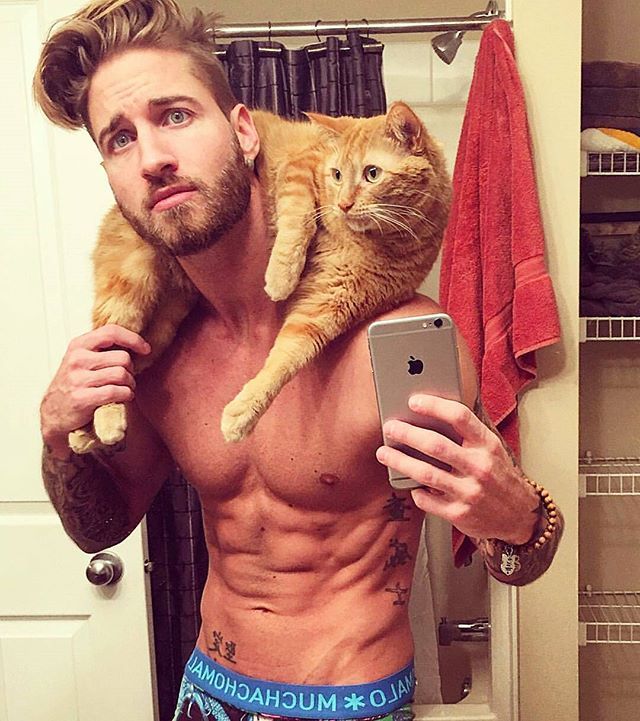 Gatto2