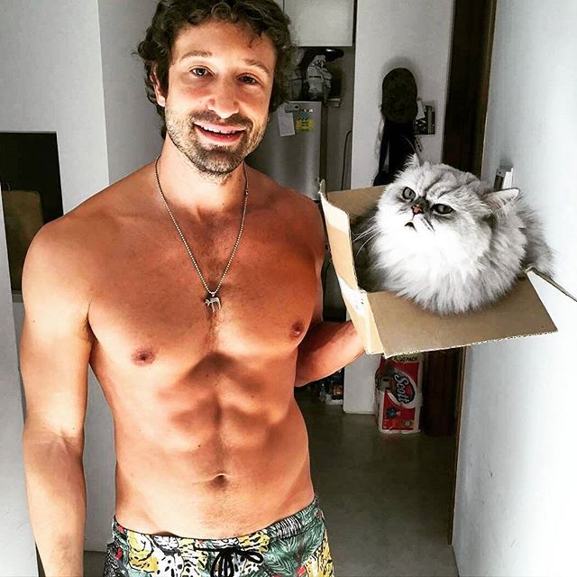 gatto