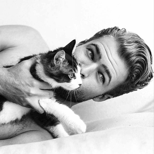 gatto5