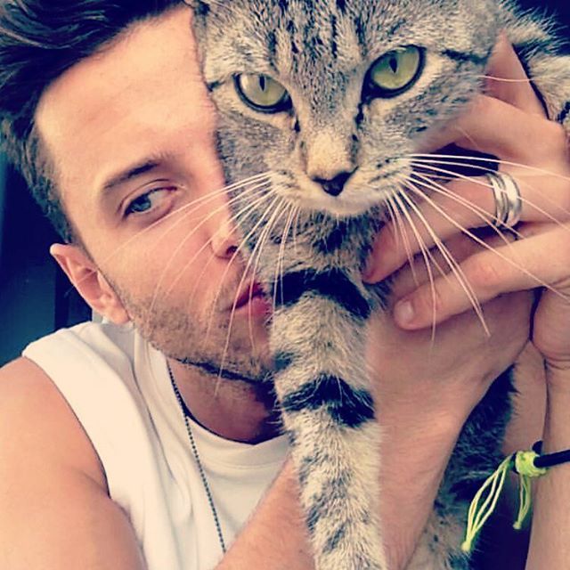 gatto8