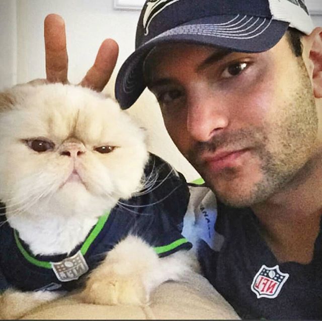 gatto