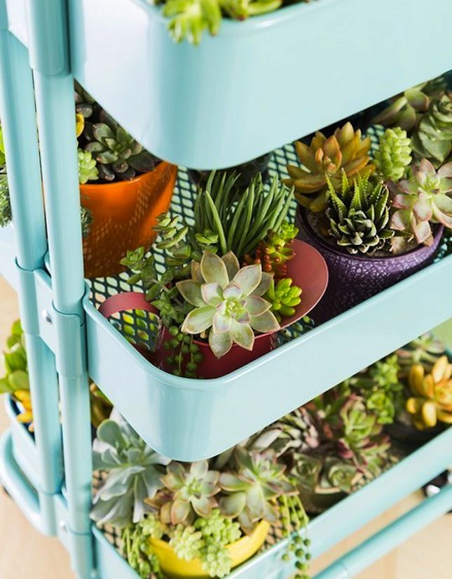 10 soluzioni ikea per arredare casa con le piante bigodino for Soluzioni economiche per arredare casa