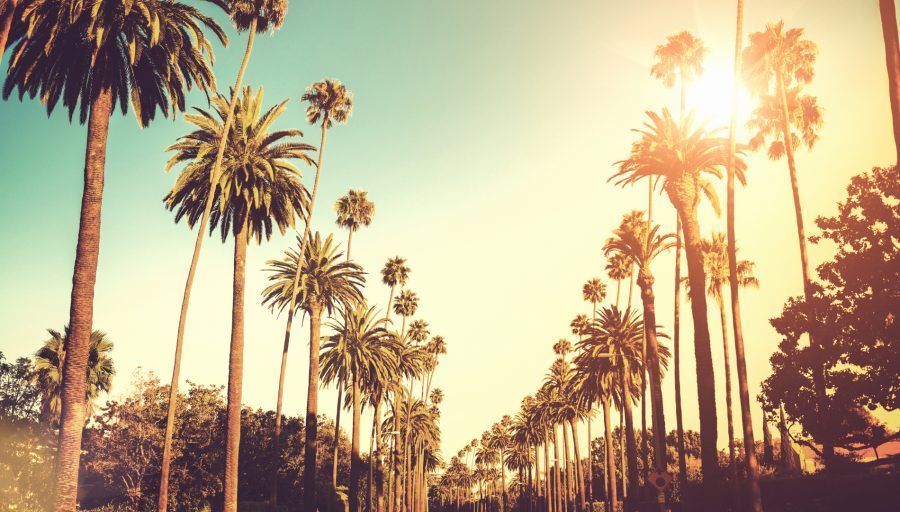 Los Angeles2