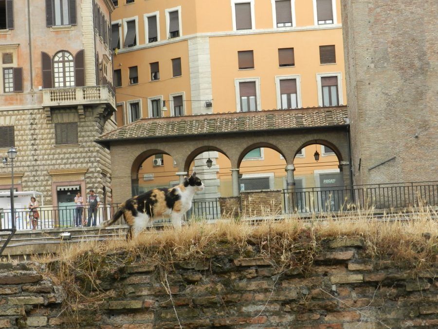7 luoghi insoliti in Italia