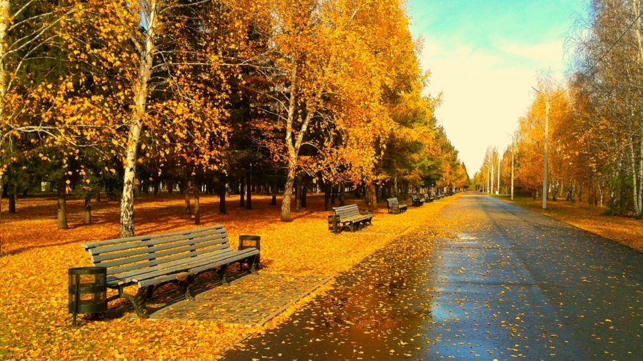 ...possono esserci paesaggi pazzeschi in autunno in giro per il mondo...