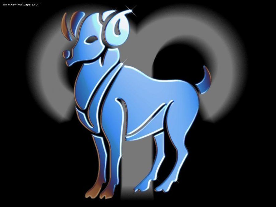 toro