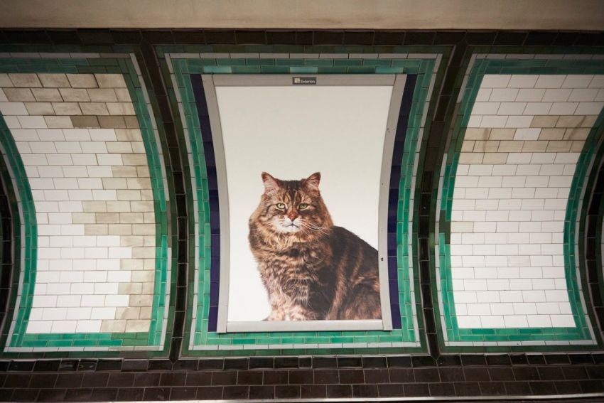 Ecco come appare la stazione di Clapham Common