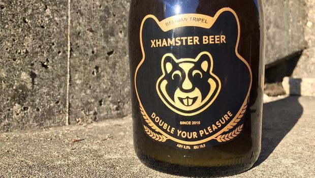 La birra XHamster