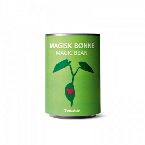 Fagiolo magico 2 euro