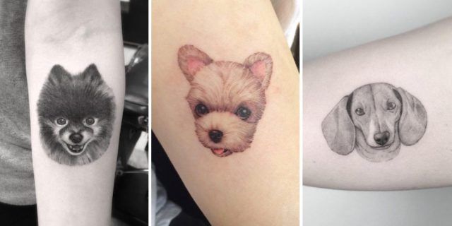 Tatuaggio dedicato ai cani con un bel primo piano di Fido