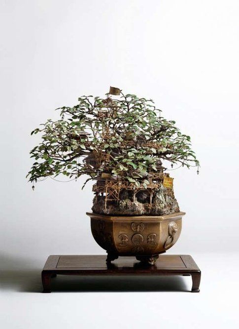 Le case sul bonsai di Takanori Aiba