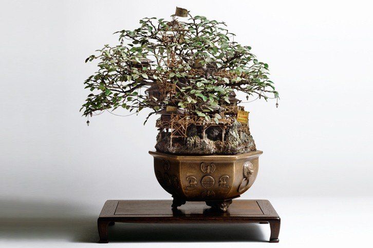 Le case sul bonsai di Takanori Aiba