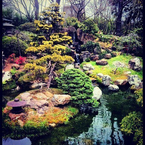 Japanese Tea Garden San Francisco - Foto di Simona Forti