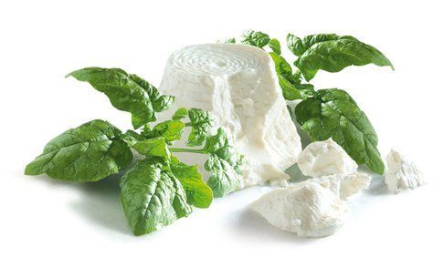 ricotta