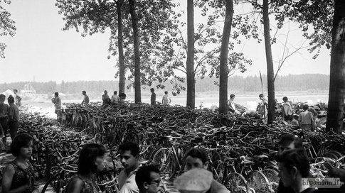 Biciclette in riva al Po, Cremona 1961