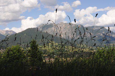 Val di Fiemme