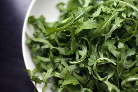 rucola