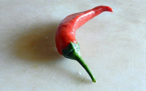 peperoncino