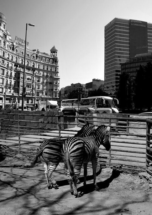 Una piazza Francesc Macià immaginaria