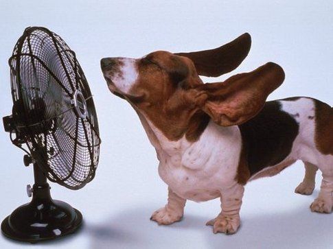 La forza di un ventilatore!