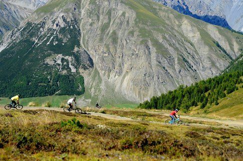 Prova qualcosa di nuovo, la bici da downhill è decisamente una botta d'adrenalina!