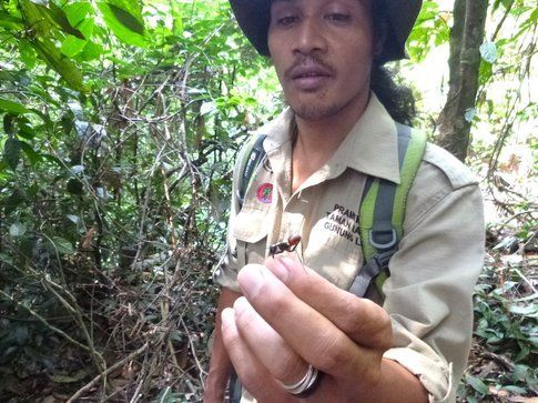 Anto, la nostra guida nella giungla di Bukit Lawang