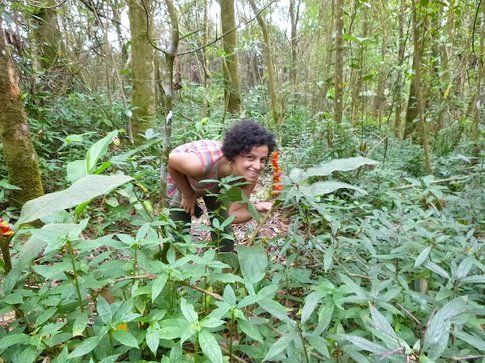 Un fiorellino nella foresta