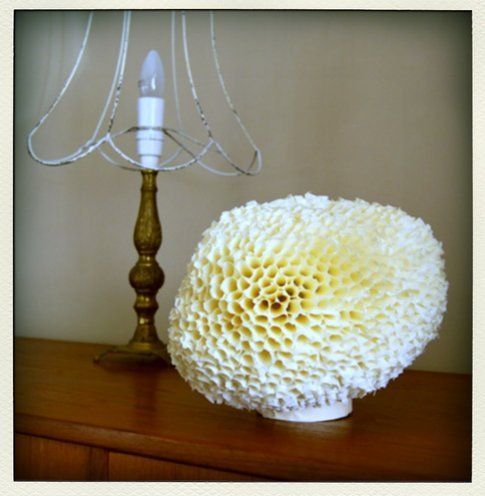 SPONGE LAMP