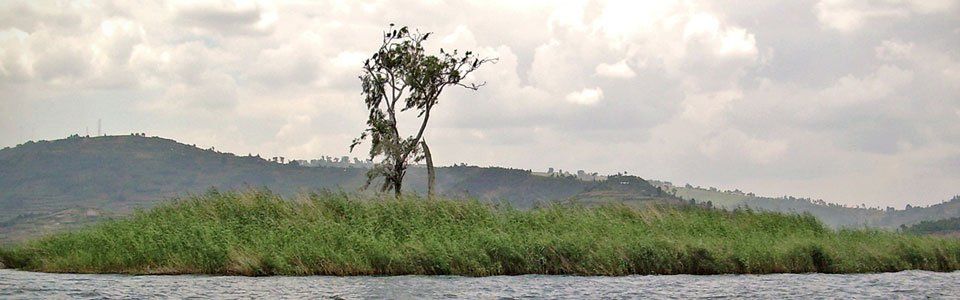 Punishment Island: l’isola delle donne abbandonate