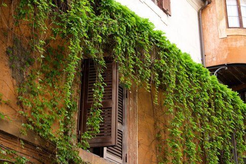 "Piazzetta Esoterica" - foto di Simona Forti