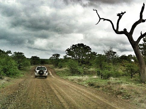 Kruger Park ©MarziaKeller