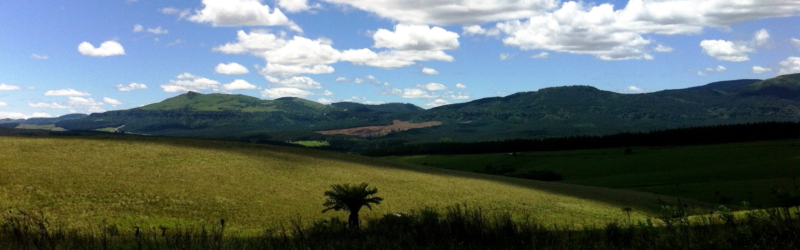 Diario di viaggio in Sudafrica: on the road in Mpumalanga