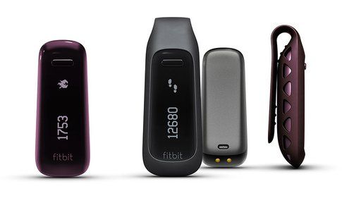 FitBIt The One