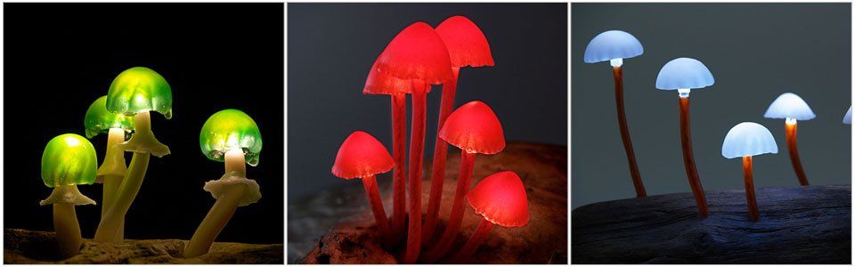 I funghi sintetici di Yukio Takano