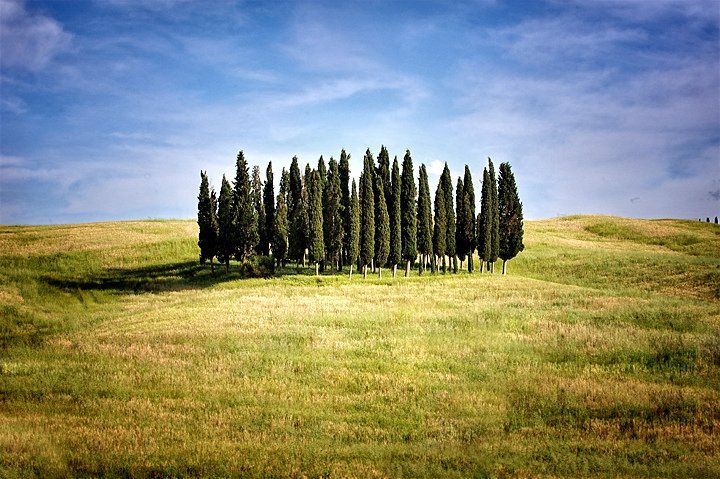 Tour della Val d’Orcia: Montepulciano, Pienza e Montalcino