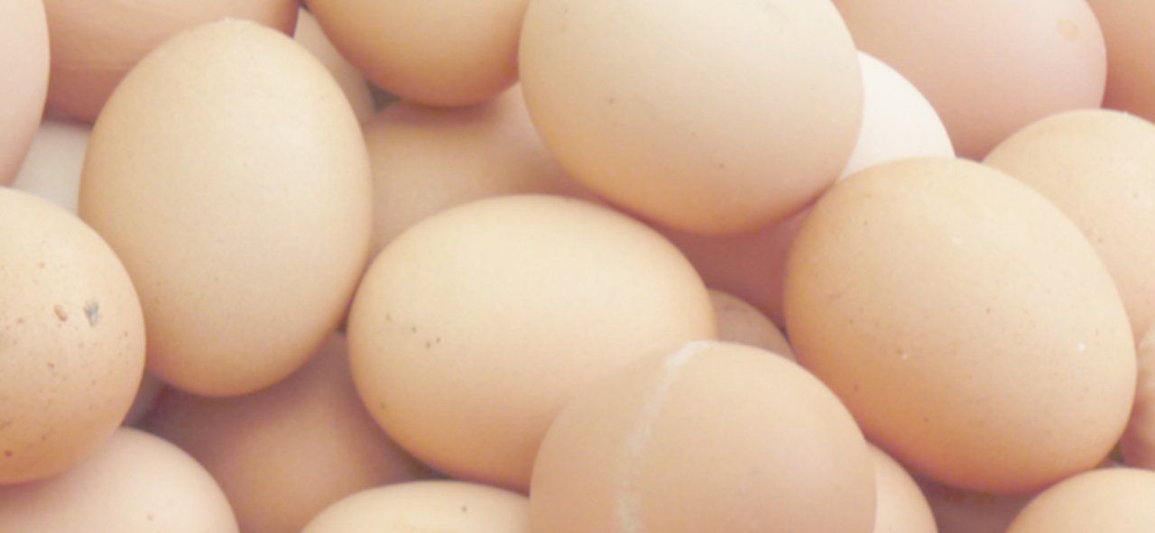 A Pasqua: message in an egg