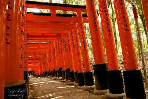 Percorso di torii rossi a Fushimi Inari - Foto di Simona Forti