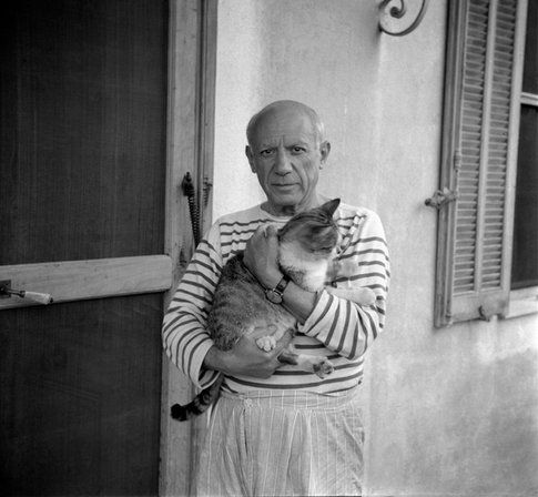 il gatto e Picasso