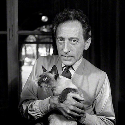 il gatto e Jean Cocteau