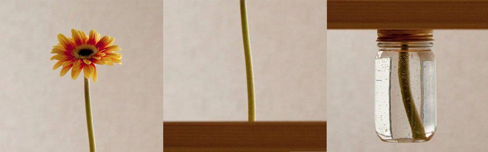 Ikea Hacker: piratare un tavolo con un fiore si può