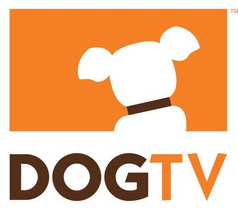 Logo DogTV - immagine da pagina ufficiale facebook DogTv channel